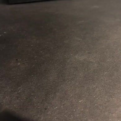 Tamar Kunz
